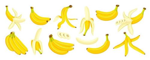 gele bananen geïsoleerd op een witte achtergrond vector