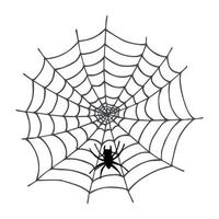 gemakkelijk hand- getrokken spin web illustratie. schattig flinterdun clip art. halloween tekening voor afdrukken, web, ontwerp, decor, logo vector