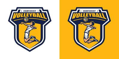 volleybal logo vector