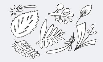 vector tekening bladeren reeks voor concept ontwerp.