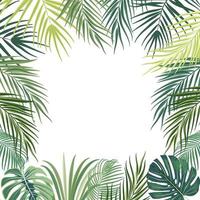 vector tropisch oerwoud kader met palm bomen, bloemen en bladeren Aan wit achtergrond