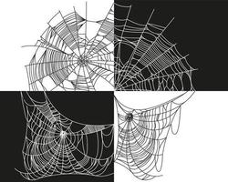 spin web onderdelen vector