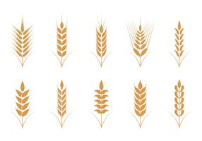 Oats Vector Pictogrammen