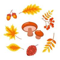 herfst Woud reeks van elementen voor ontwerp geïsoleerd Aan wit achtergrond. herfst bladeren, bessen, champignons en eikels. vector voorraad illustratie.