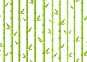 bamboe naadloos patroon. gemakkelijk vlak groen bamboe achtergrond met stengel, Afdeling en bladeren. natuur backdrop ontwerp. abstract Aziatisch textuur. vector illustratie Aan wit achtergrond