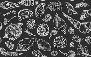 geïsoleerd wit krijt contour schelpen en planten naadloos patroon hand- getrokken oceaan schelp of schelp weekdier schulp zee onderwater- dier fossiel nautische en aquarium, marinier thema. vector illustratie