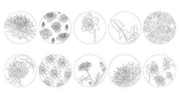 markeer omslagset, abstracte bloemen botanische pictogrammen voor sociale media. vector illustratie