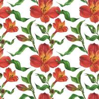 bloemenwaterverf naadloos patroon met rode alstroemeria vector