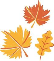 vrolijk herfst bladeren hand- getrokken herfst illustratie vector