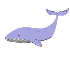 hand- getrokken grappig vector walvis in tekening stijl.