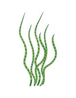 vector illustratie van algen