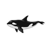 orka moordenaar walvis vector