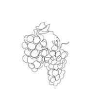 doorlopend lijn tekening druiven illustratie vector