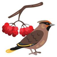 waxwing Woud vogel. hand- getrokken vector illustratie. geschikt voor website, stickers, geschenk kaarten, kinderen producten.