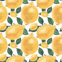 geel citroen naadloos patroon door getraceerd waterverf vector