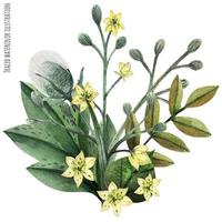 wild planten hand- geschilderd waterverf corsages vector