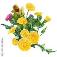 Schots wild planten corsages vector