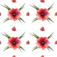 bloemen rood papaver naadloos patroon vector