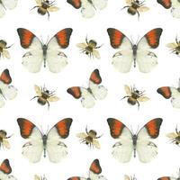 weide vlinder naadloos patroon vector