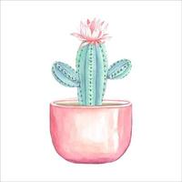 bloeiend cactus in een pot. waterverf illustratie vector