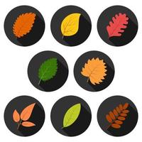 reeks van acht herfst bladeren in cirkels met schaduwen. vector illustratie