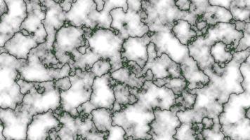 marmeren structuur achtergrond wit groen patroon vector