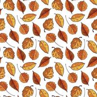 naadloos patroon met herfst kleur bladeren. vallen bloemen achtergrond. tekening stijl. voor afdrukken, kleding stof, textiel, productie, achtergronden. gebladerte, val, Indisch zomer vector