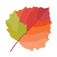 berk blad. herfst blad. vector afbeelding.