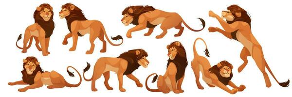 leeuw wild Afrikaanse dier, Leo koning geïsoleerd reeks vector