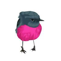 roze Robin vogel vector
