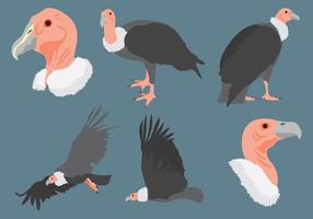 Gratis Condor Pictogrammen Vector