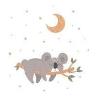 schattig weinig koala slapen Aan een Afdeling in de midden- van de nacht lucht. kinderen illustratie voor affiches, kleding stof prints en kinderen kaarten Aan wit achtergrond. vector