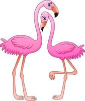 tekenfilm twee roze flamingo Aan wit achtergrond vector