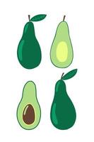 avocado vector vlak stijl set. avocado en fruit in sectie vector set.