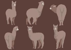 Gratis Alpaca Pictogrammen Vector