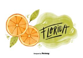 Florida Orange Watercolor Vector