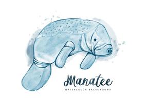 Gratis Manatee Waterverf Achtergrond vector