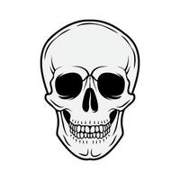 menselijk schedel. voorkant visie. vector zwart en wit hand- getrokken illustratie geïsoleerd Aan wit achtergrond