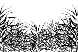 beeld van een groen riet of biezen Aan een wit background.isolated vector tekening.