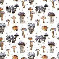 champignons naadloos patroon. tekenfilm stijl. sjabloon voor ontwerp achtergronden, textiel, omhulsel papier, pakket. vector