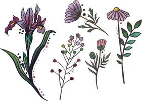 wild bloemen. monsters. wit achtergrond. en illustratie vector