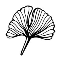 ginkgo biloba Afdeling met bladeren hand- getrokken contour lijn. vector bloemen kunst in een modieus minimalistische stijl.