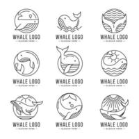 walvis logo collcetion vector