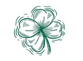 klaver, st. Patrick's dag. handgetekende illustraties. vector. vector