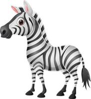 schattig baby zebra Aan wit achtergrond vector