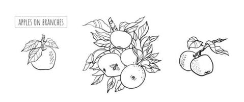 appel vector tekening. hand- getrokken boom Afdeling met fruit en bladeren. zomer voedsel gegraveerde stijl illustratie. gedetailleerd vegetarisch schetsen. Super goed voor sap of cider verpakking ontwerp, label, poster, afdrukken