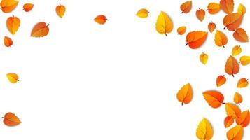herfst gouden blad kader. esdoorn- gedaald bladeren geïsoleerd Aan wit. oktober geel gebladerte en herfst- natuur gebladerte. reclame goud vallen blad horizontaal achtergrond. vector illustratie eps10