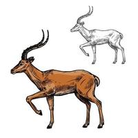 Afrikaanse gazelle of Indisch antilope dier schetsen vector