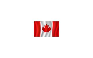 Canadees vlag, esdoorn- blad 3d symbool van Canada vector