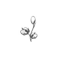 katoen bloem vector pictogrammalplaatje